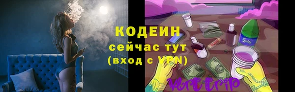 гашик Бронницы