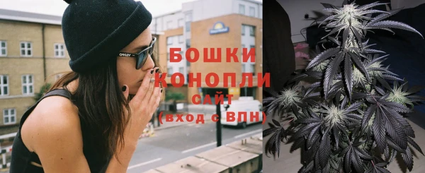 не бодяженный Бородино